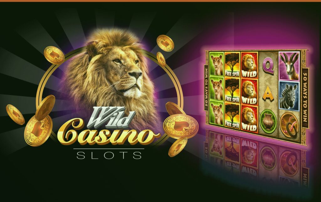 wild casino slots