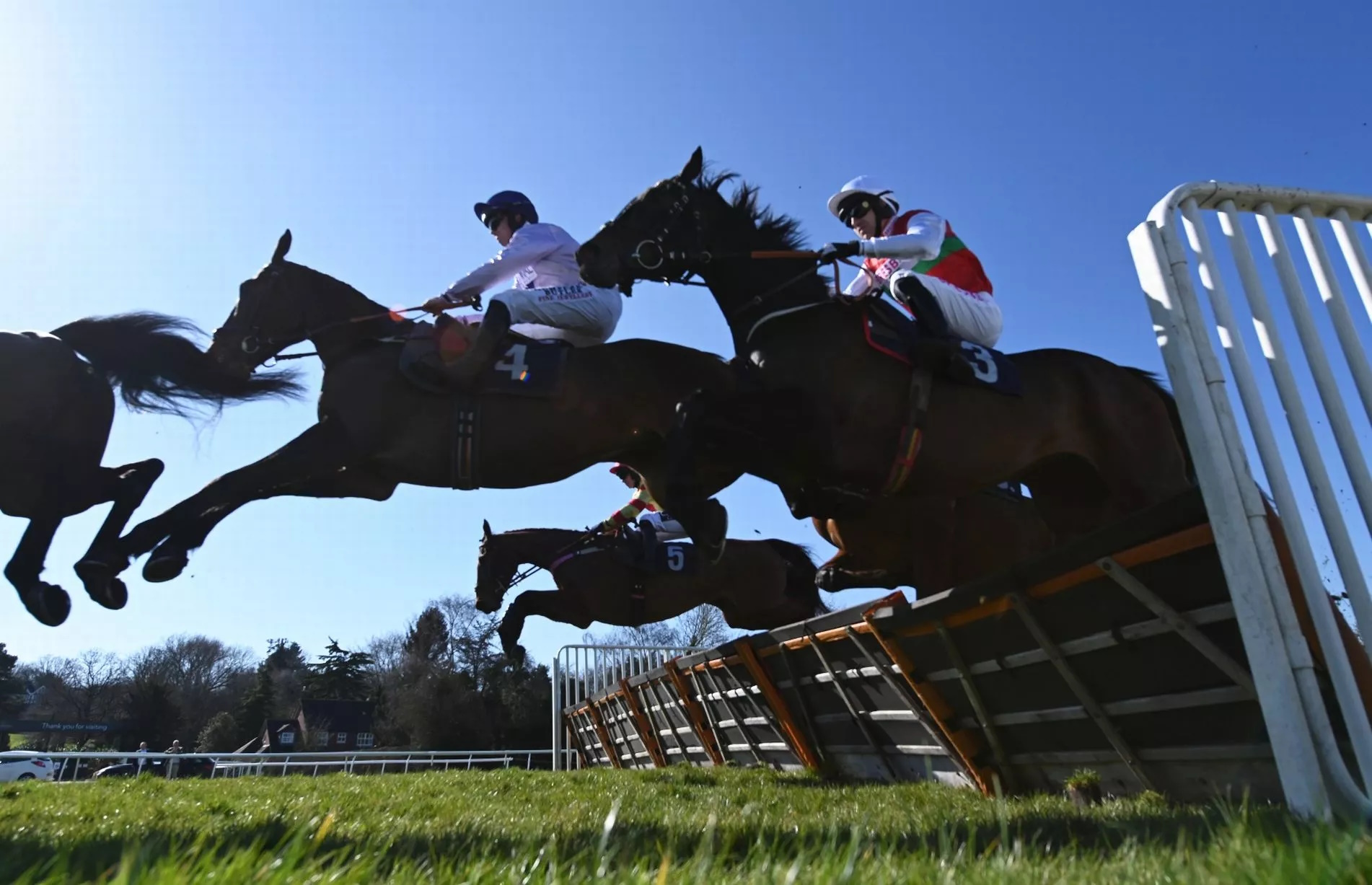 Horse Racing Tips: In-form Tipster Rhys Williams Fancies French Import At Uttoxeter