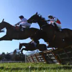 horses jumping over hurdles